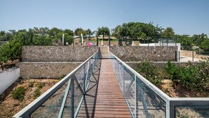 Un sentier en bois mène à un mur de pierre surmonté d’une rambarde en verre, le tout étant entouré de verdure et d’arbres.