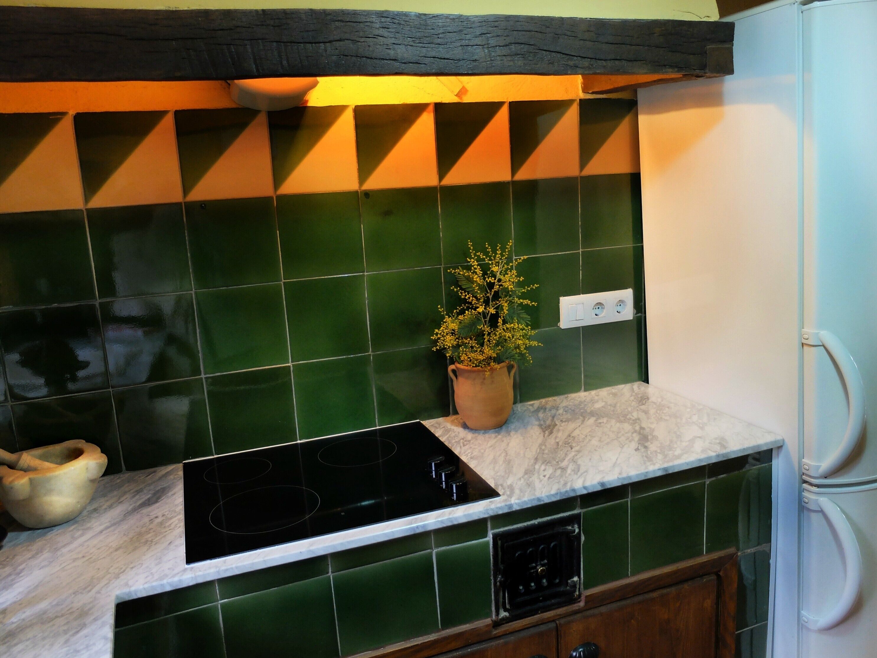 Frigorífico, microondas, placa de cocina y lavavajillas