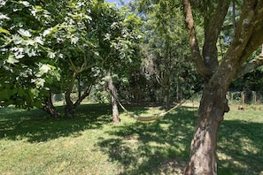 A hammock between trees in a grassy area.