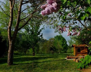 Terrein van de accommodatie