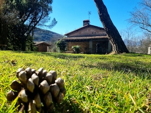 A rustic stone building with a tiled roof, surrounded by grass and trees. - Granota de Mas Violella Country House: Natural Park, Views, Pool & Wi-Fi (Sant Joan les Fonts)