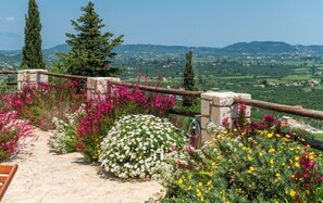 Vista des de l'allotjament
