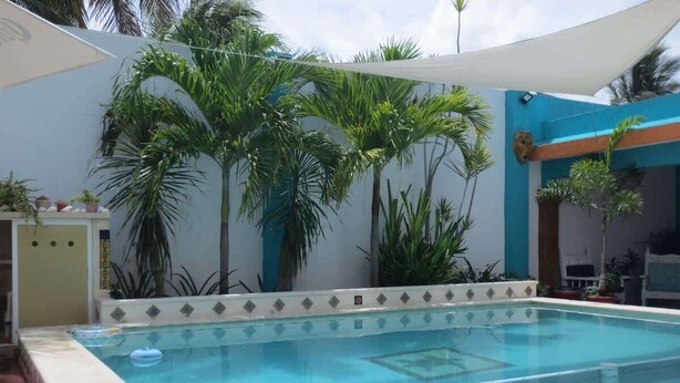 A rectangular swimming pool with a tiled edge, surrounded by palm trees and a white wall with decorative trim. - Delightful Beach Time in Chelem! (Chelem)