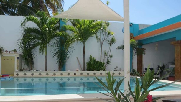 Uma área de piscina com espaço coberto para sentar e palmeiras.
