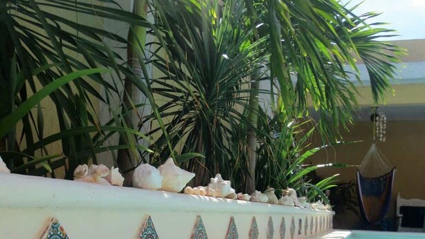 A swimming pool with decorative tiles and shells, surrounded by palm trees and a hanging chair. - Comfortable Beach Living in a Mexican village! (Chelem)