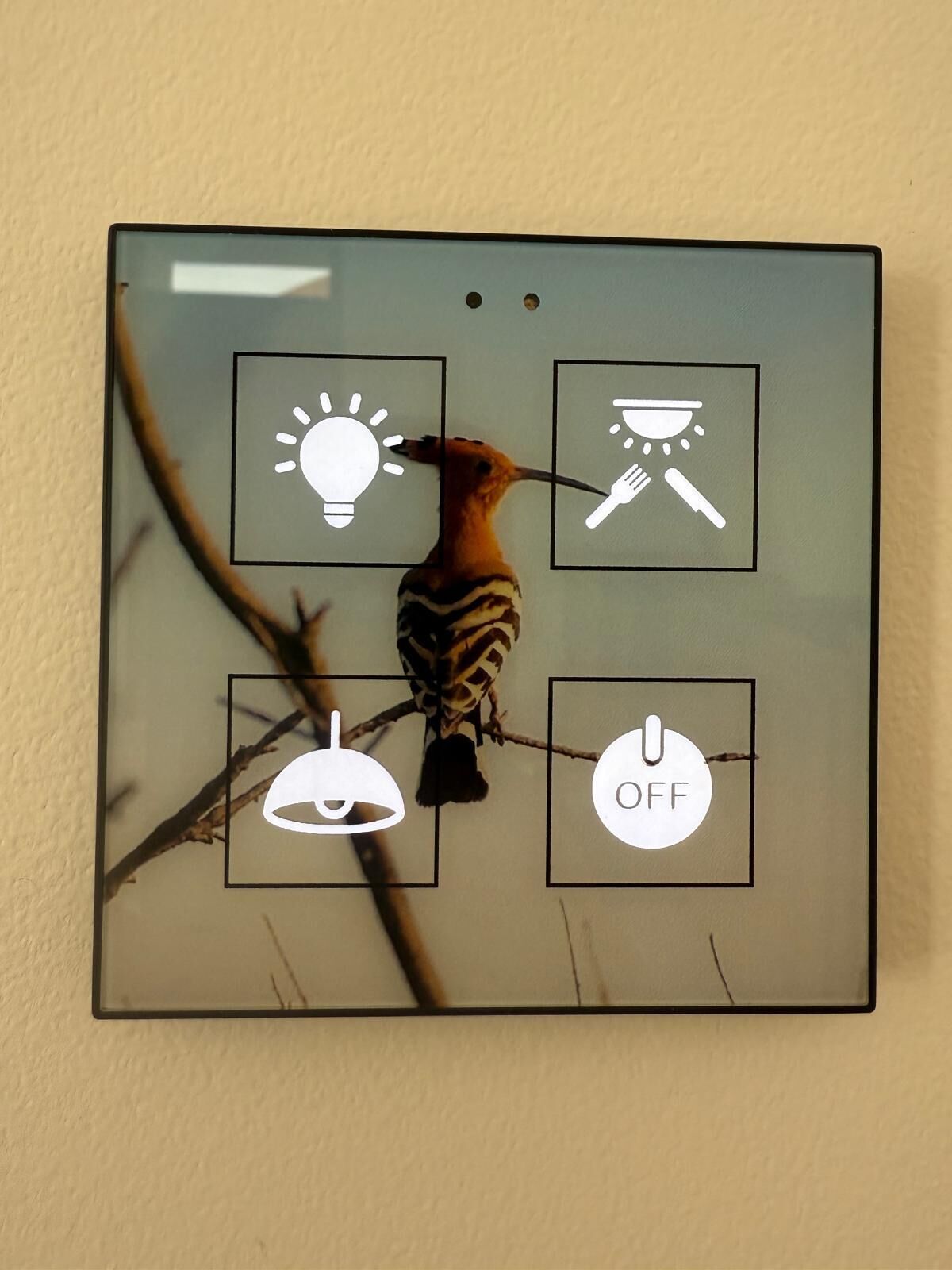 A bird perched on a wall-mounted light switch with four square buttons labeled with symbols: light bulb, utensils, light switch, and OFF.
