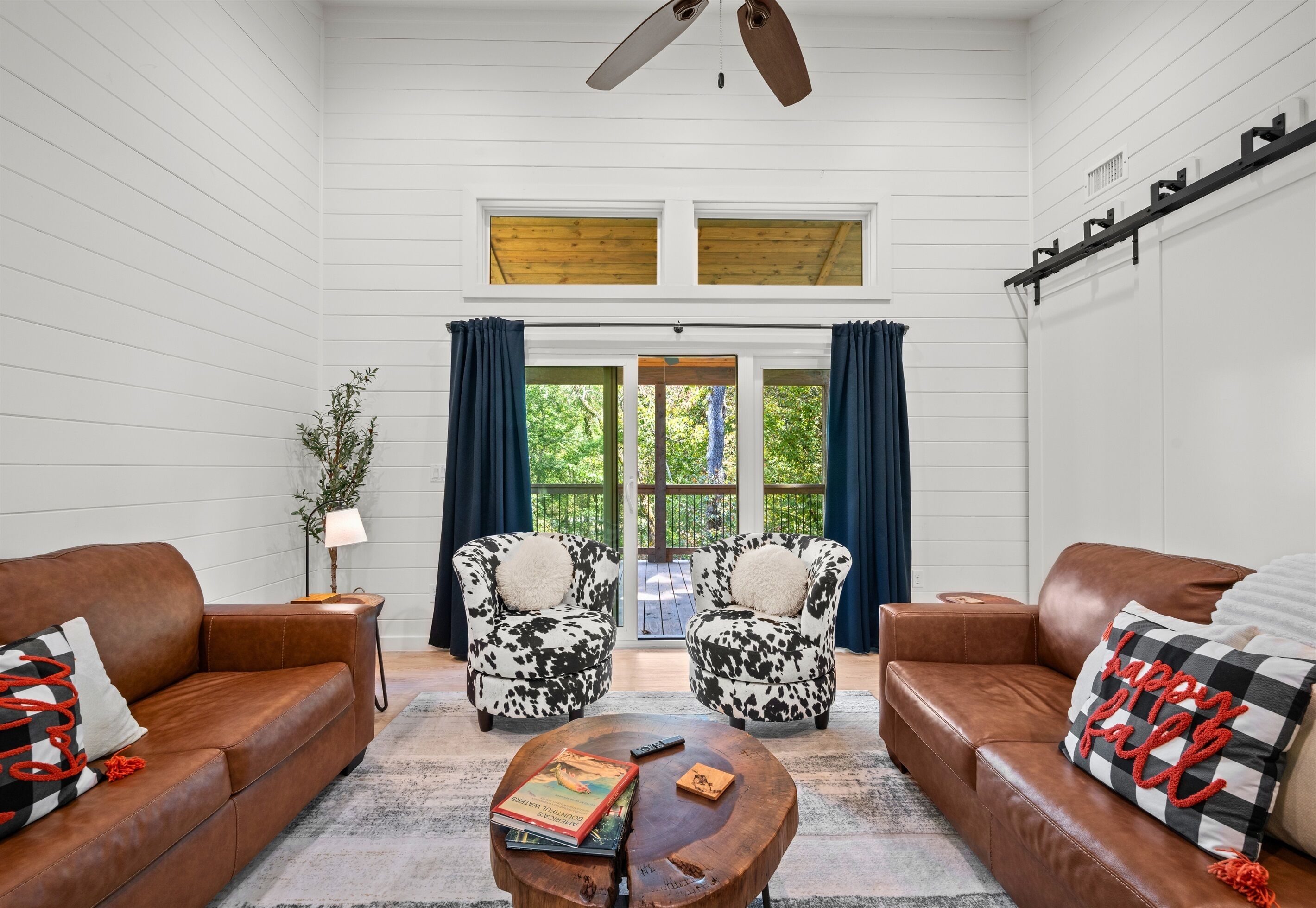 TV connectée, cheminée, livres