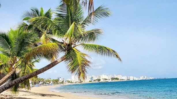 A beach with palm trees and a cityscape in the background. - Newer Gated Condo~Near Airport! 5m Walk to Beach! (San Juan)