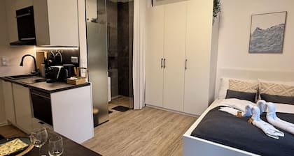 Luna Apartment Passau | Balcony | Kitchen | Self Checkin | Parking lot
