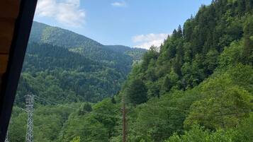 家庭平房, 山谷景观 | 前台