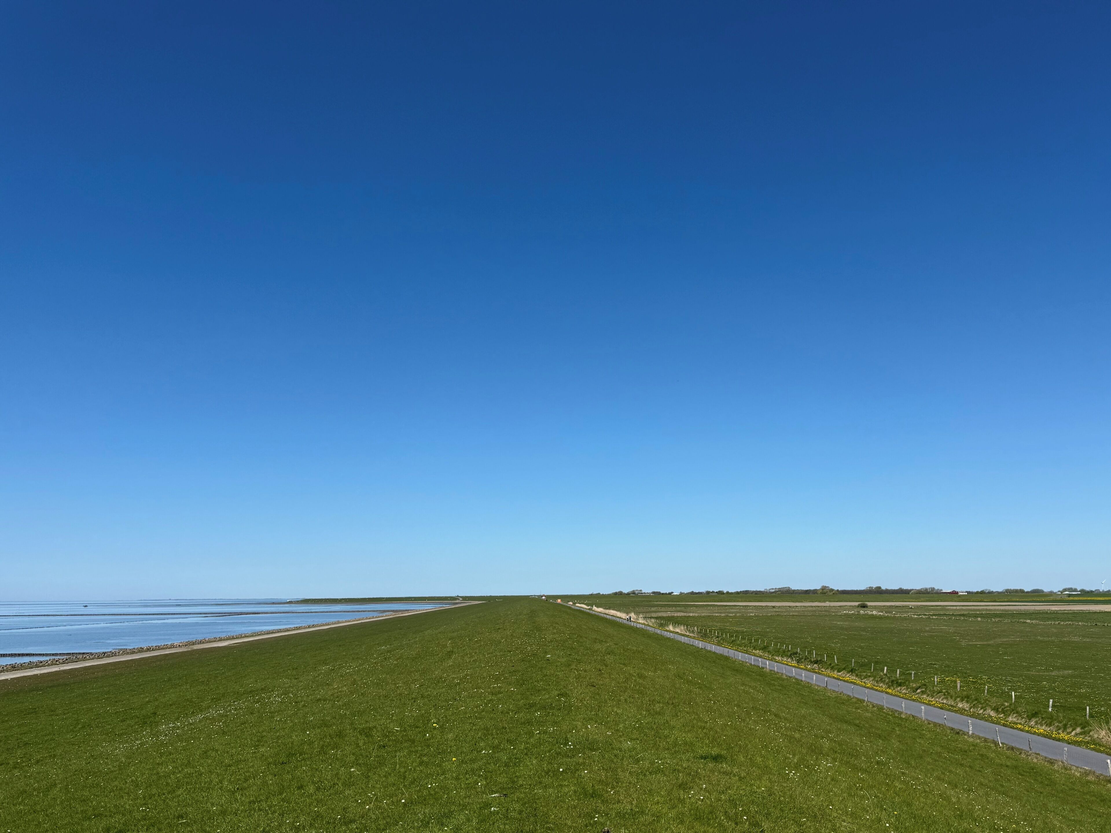 A long, straight road leading to a body of water, with a clear blue sky above.
