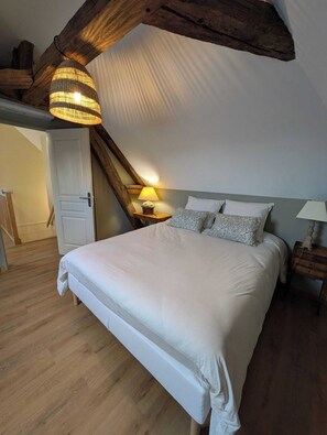 Iron/ironing board, free WiFi - Manoir Saint Joseph - Gîte Jean Cousin (Sens)