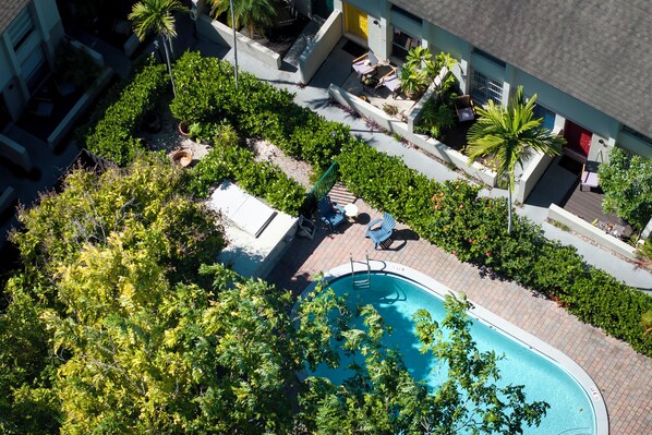 Outdoor pool - Awesome unit in Miami for your next getaway. Walking distance from Cocowalk! (Miami)