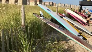 Una hilera de tablas de surf sobre una playa arenosa, con pastos altos en primer plano y edificios al fondo.