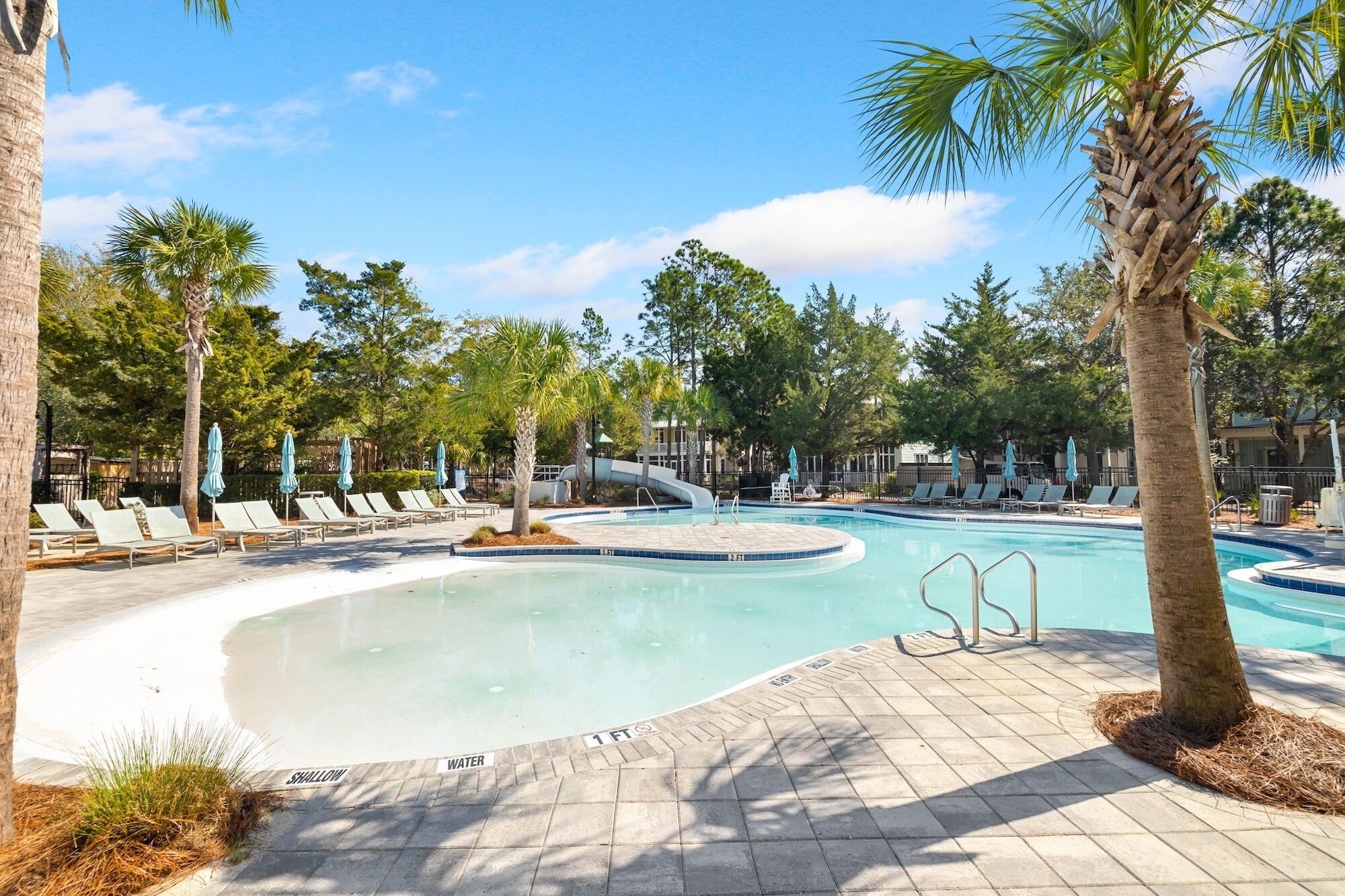 A swimming pool with a curved edge, surrounded by lounge chairs and umbrellas, and palm trees.