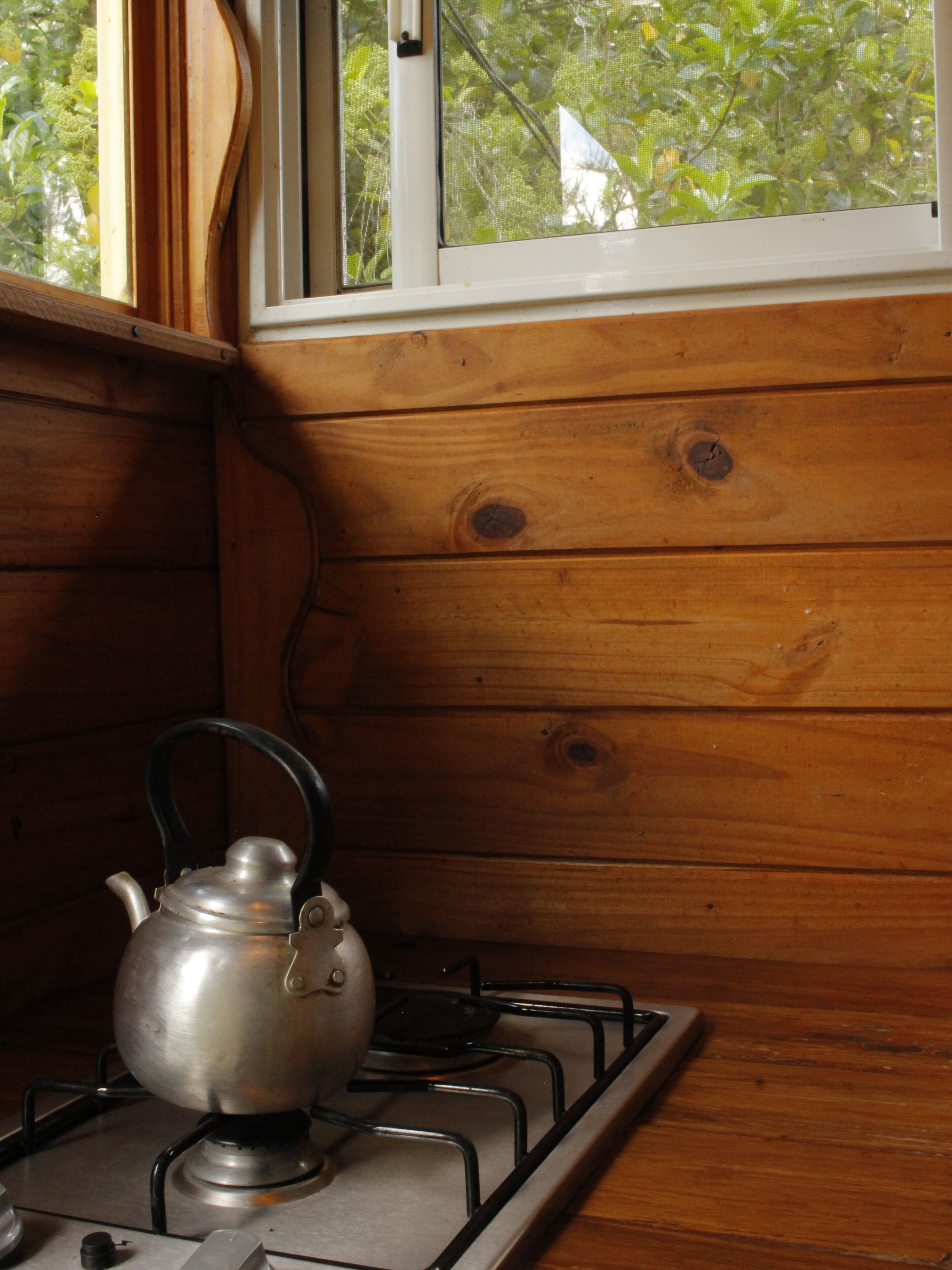 Una cucina con piano cottura a gas, bollitore, pareti in legno e una finestra vista sul verde.