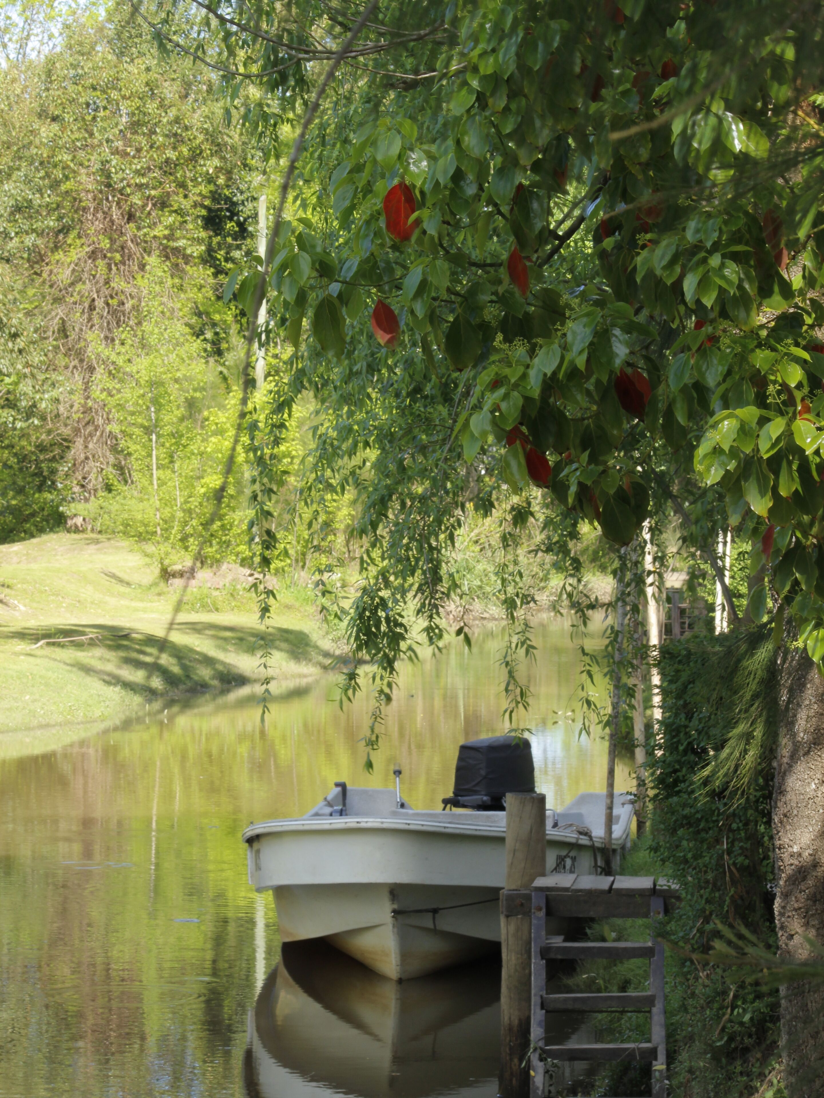 A boat docked at a calm river with lush greenery and trees in the background.