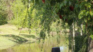 A boat docked at a calm river with lush greenery and trees in the background.