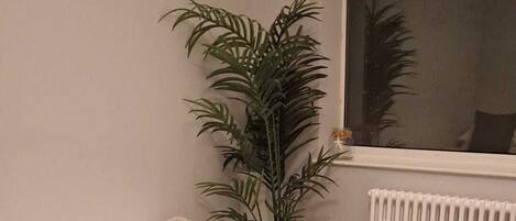 Wi-Fi, draps fournis