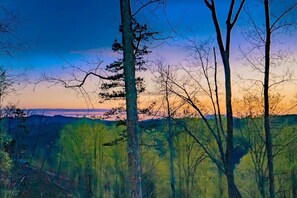 A forested landscape with a clear view of the horizon. - Luxury Smoky Mountain Retreat | Views + Hot Tub (Sevier County)