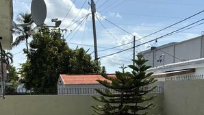 Une pelouse bien entretenue, avec un petit arbre et un chemin en béton.