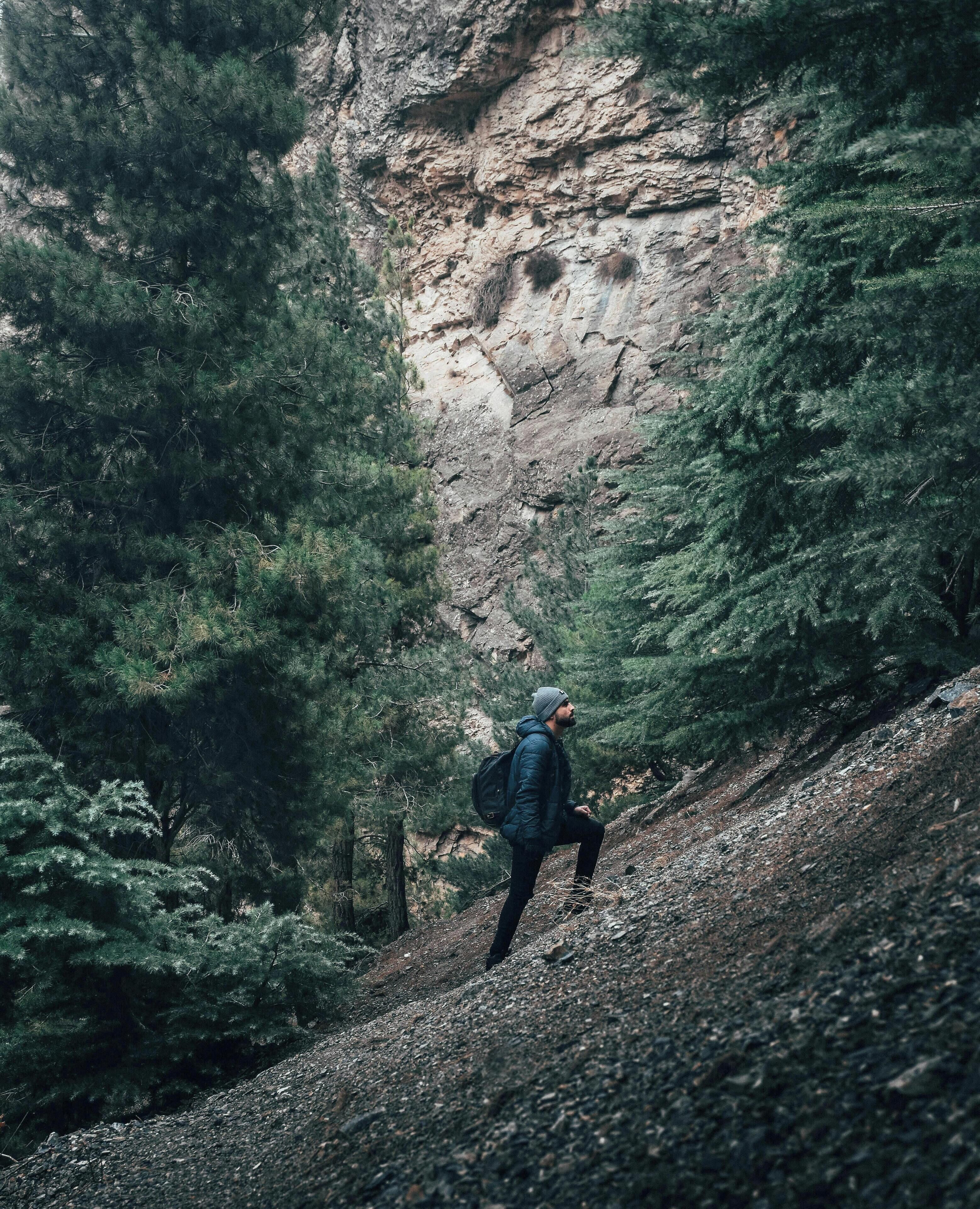 A person hiking on a rocky trail surrounded by dense forest.