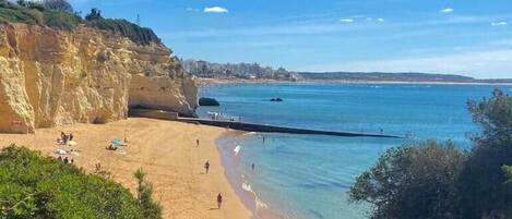Plage, chaises longues, serviettes de plage