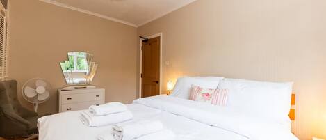 Fer et planche à repasser, Wi-Fi gratuit, draps fournis