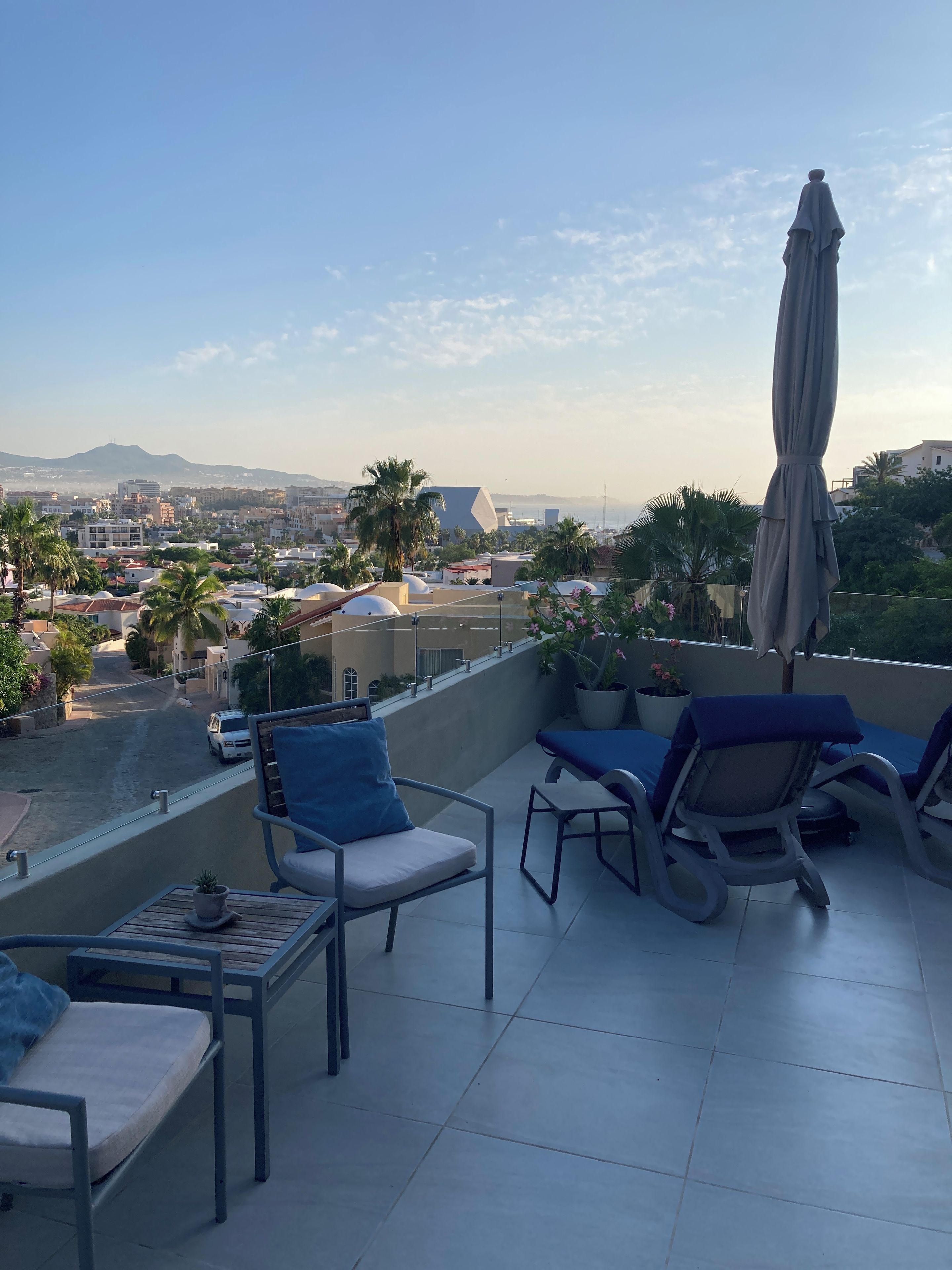 A rooftop terrace with lounge chairs, a table, and a potted plant.