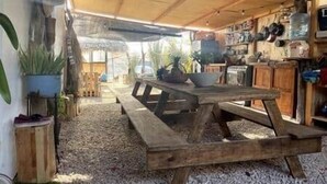 Eine rustikale Küche mit einem Holztisch, Topfpflanzen und verschiedenen Küchenutensilien.