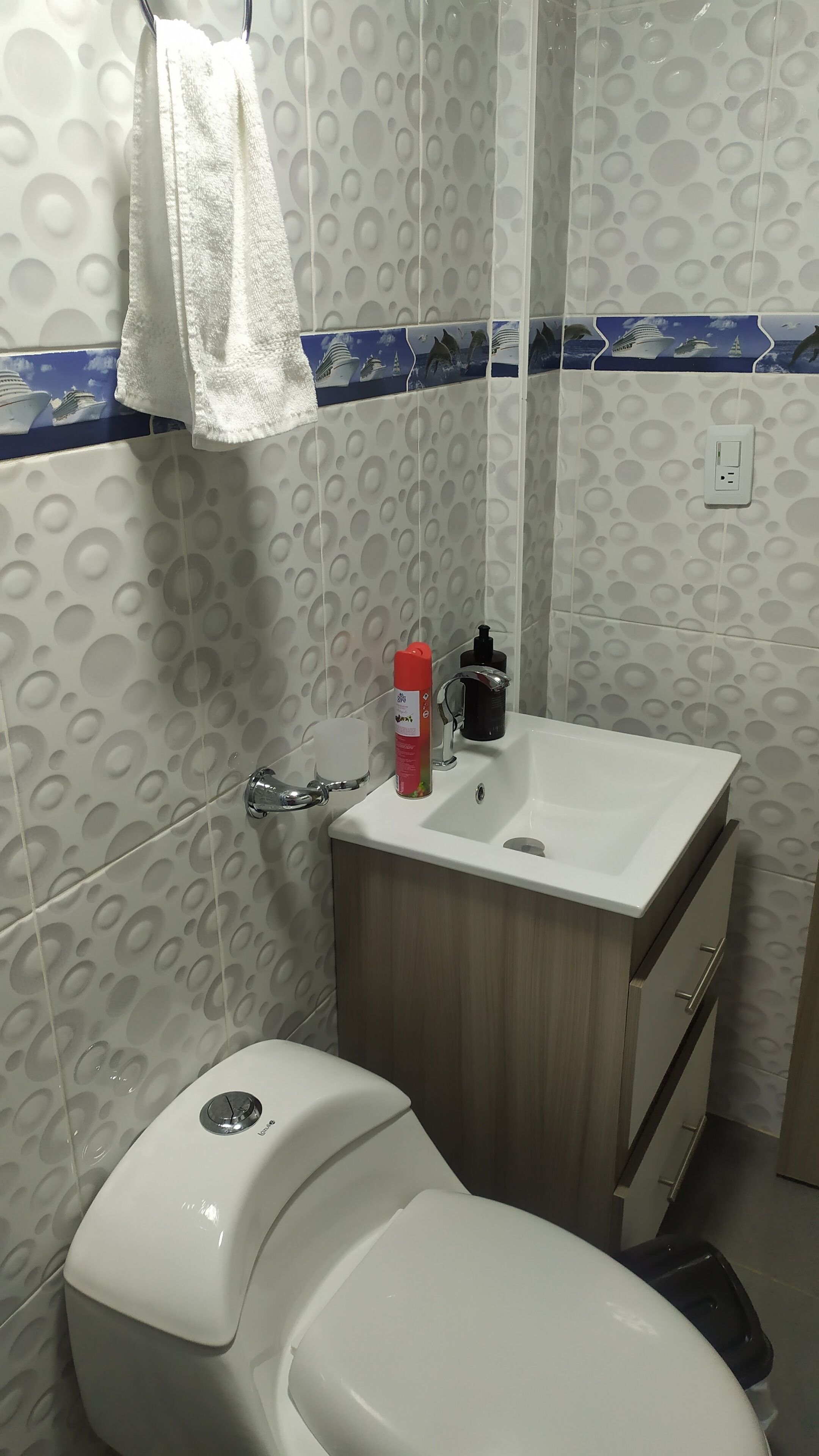 Hair dryer, towels, toilet paper