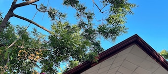 Neem Safari Lodge Yala