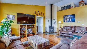 TV connectée, cheminée, lecteur de DVD, livres