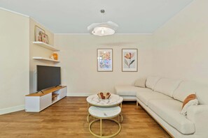 Fernseher, Arbeitsbereiche