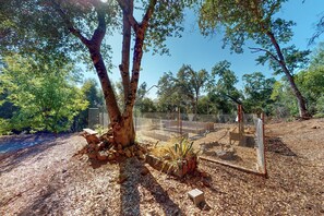 Property grounds - Sweeping Views! Charming Home Near Dtwn Jamestown (Jamestown)