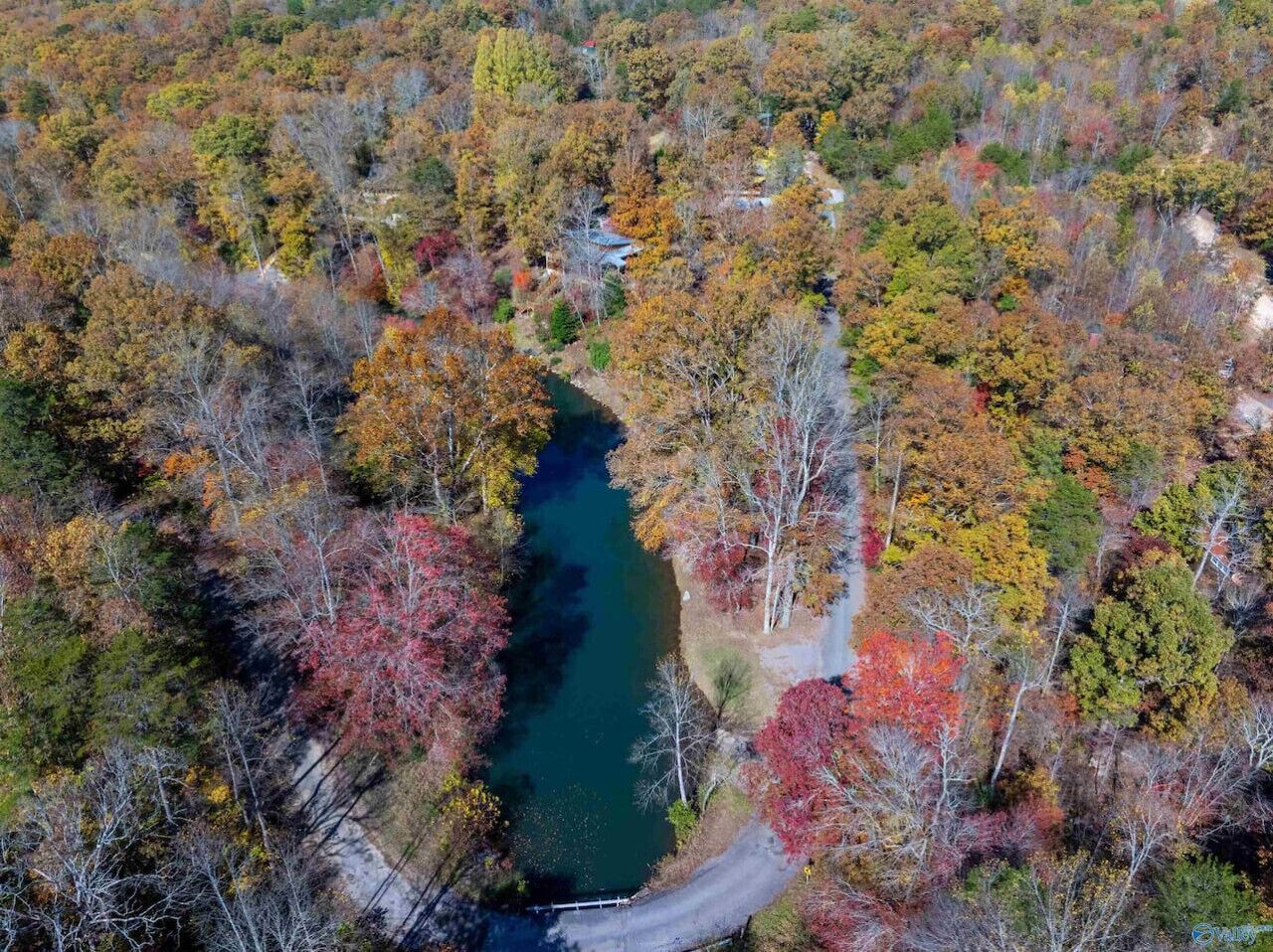 Luchtbeeld van een bebost gebied met een rivier en een weg.