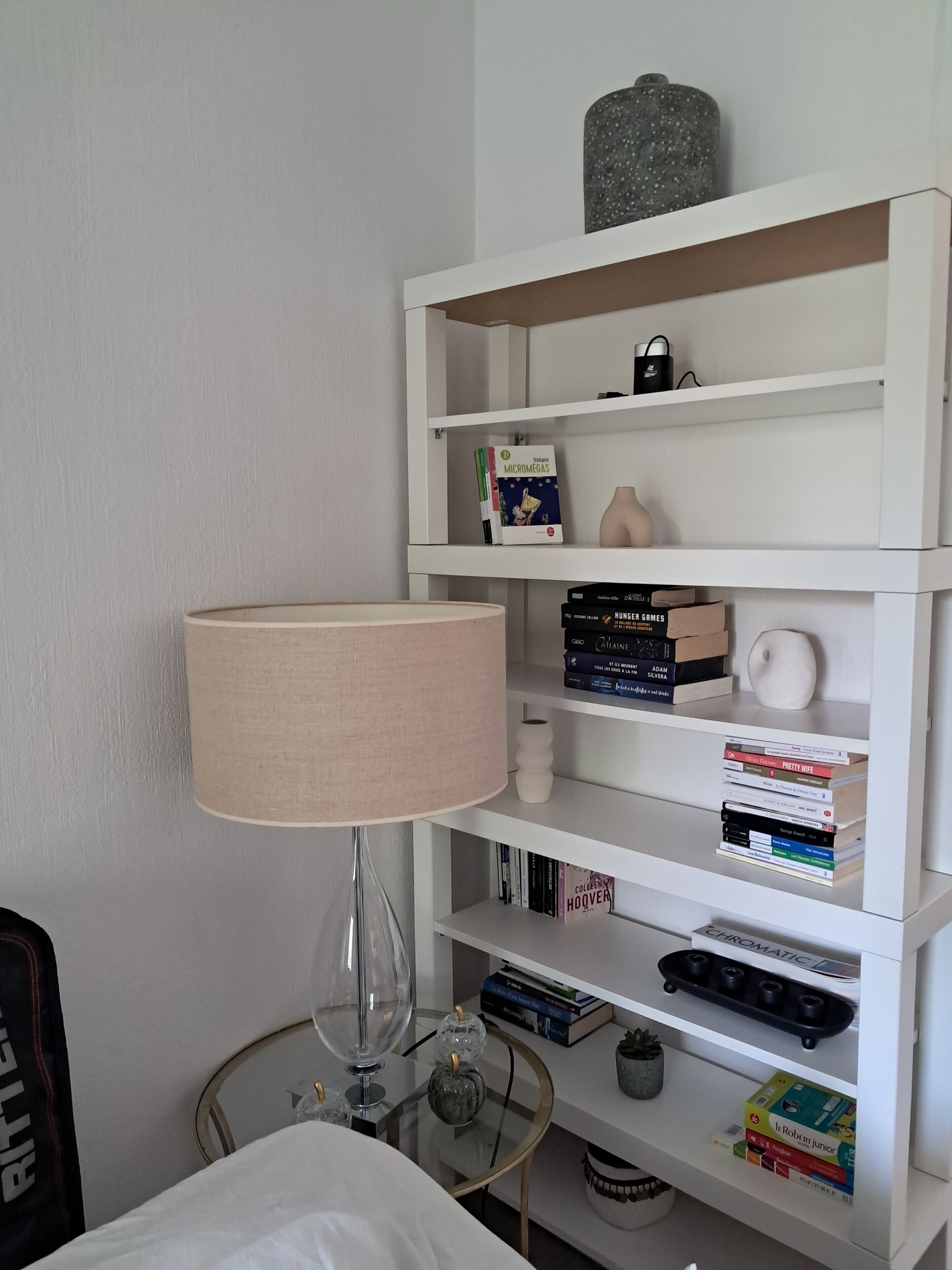 Une bibliothèque bien rangée, contenant divers livres et objets décoratifs.