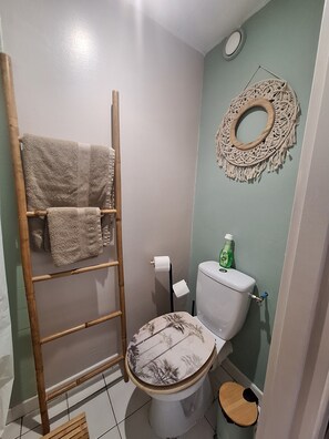 Ducha, secador de pelo y toallas