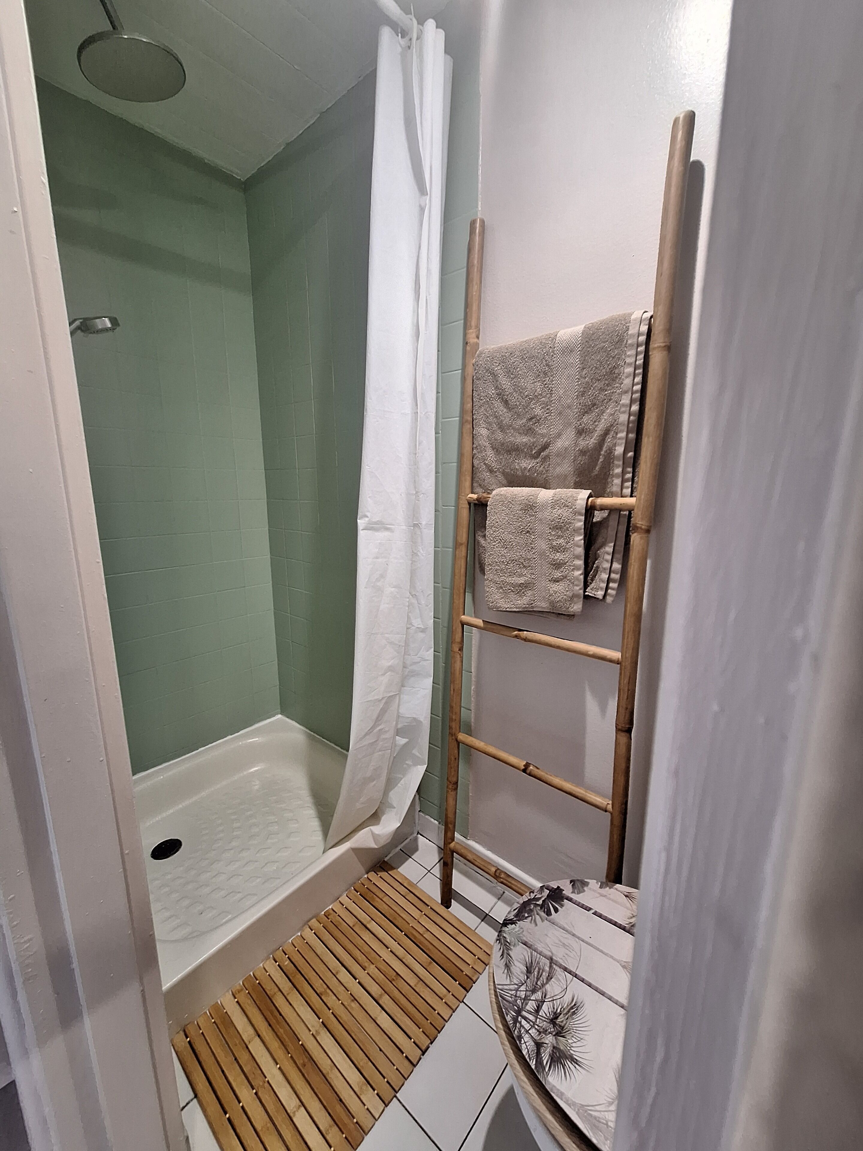 Shower, hair dryer, towels