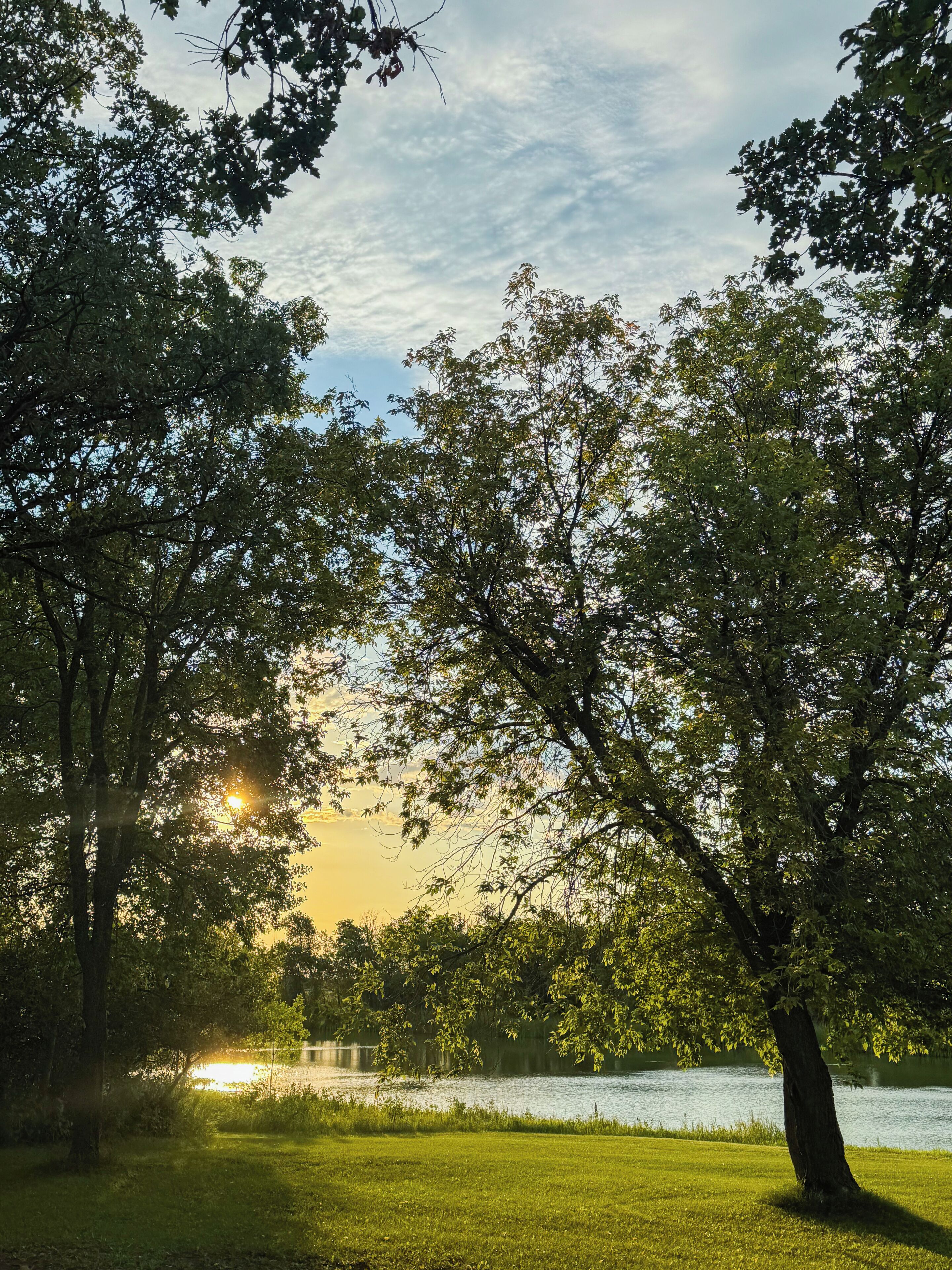 Creekside view from the deck 