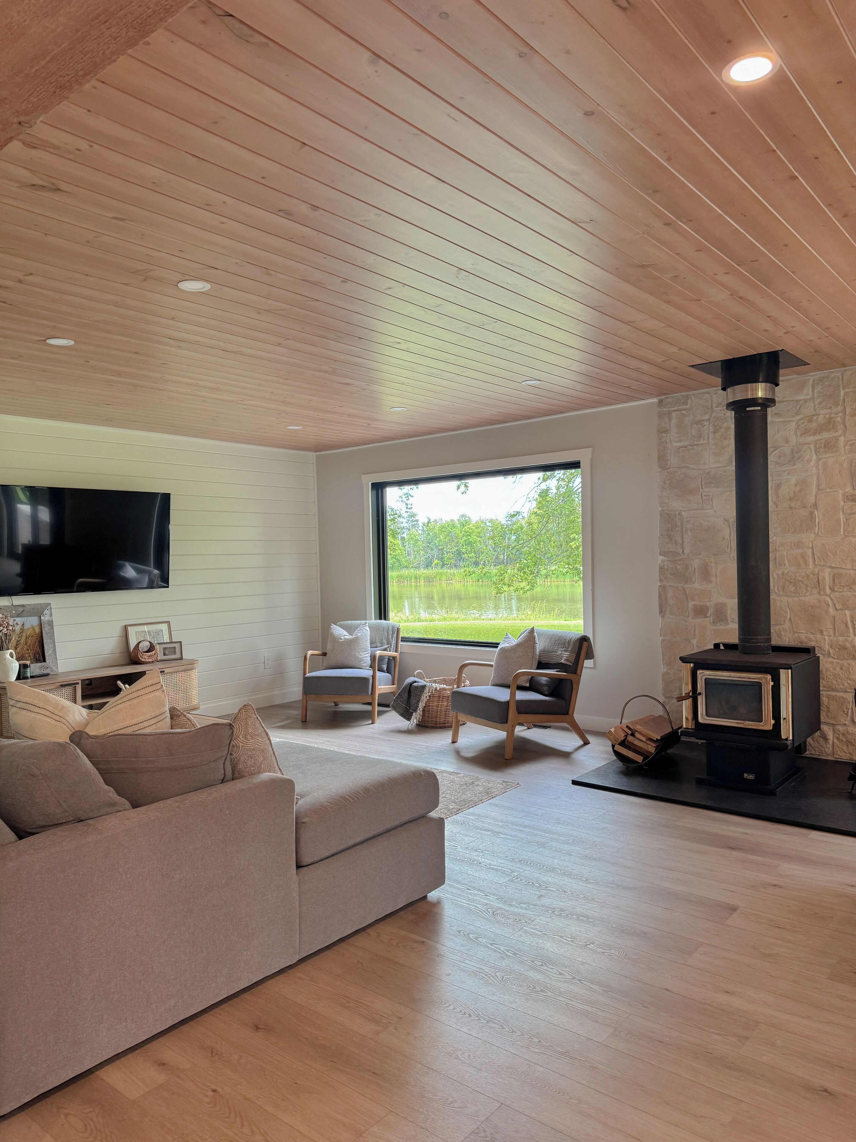 Televisión y chimenea 