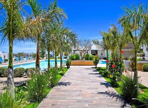 A pathway leading to a pool area with palm trees and a clear blue sky. - Casa Agua: 3BR with Pool (La Paz)