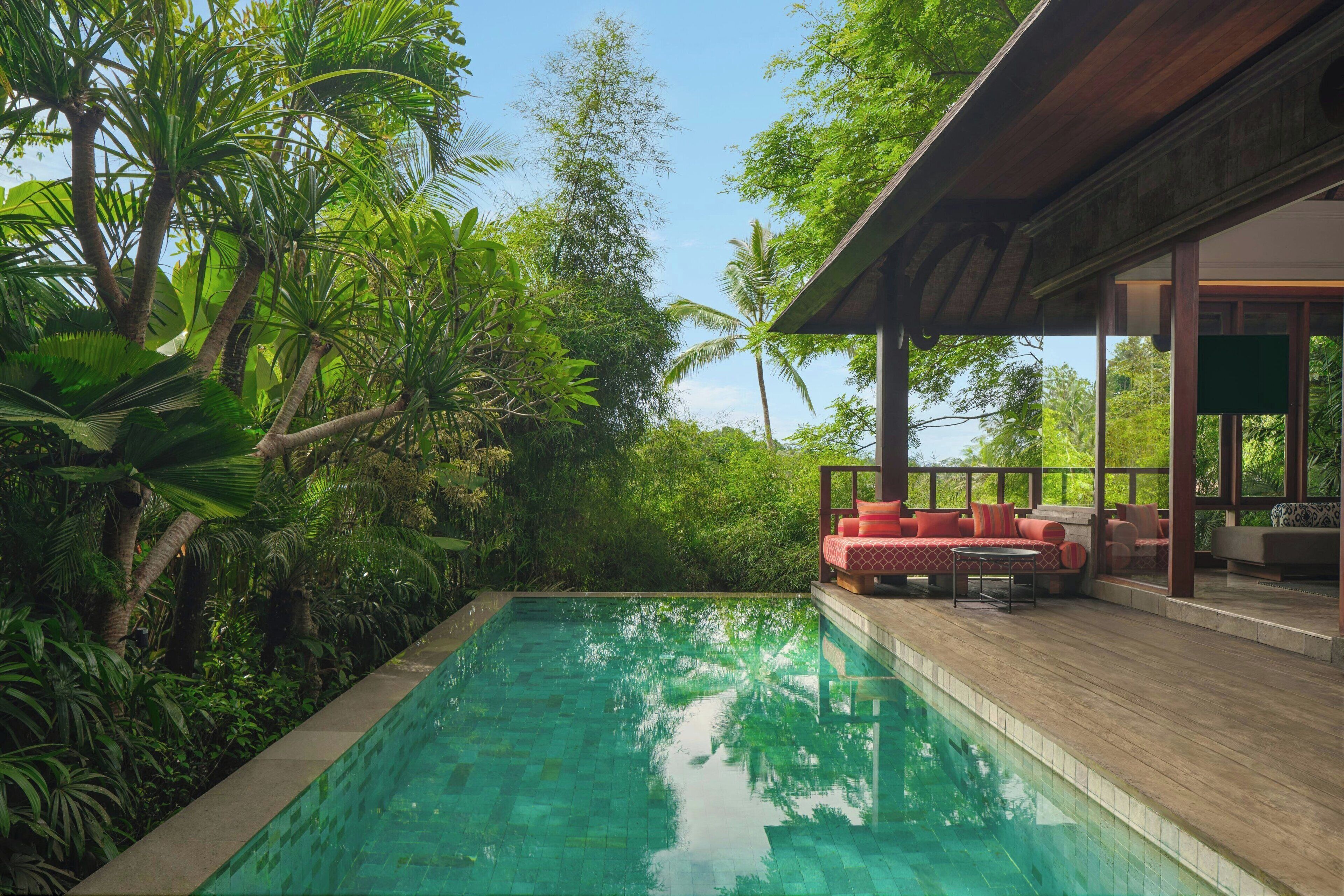 A pool surrounded by lush greenery, with a wooden deck and outdoor seating area.