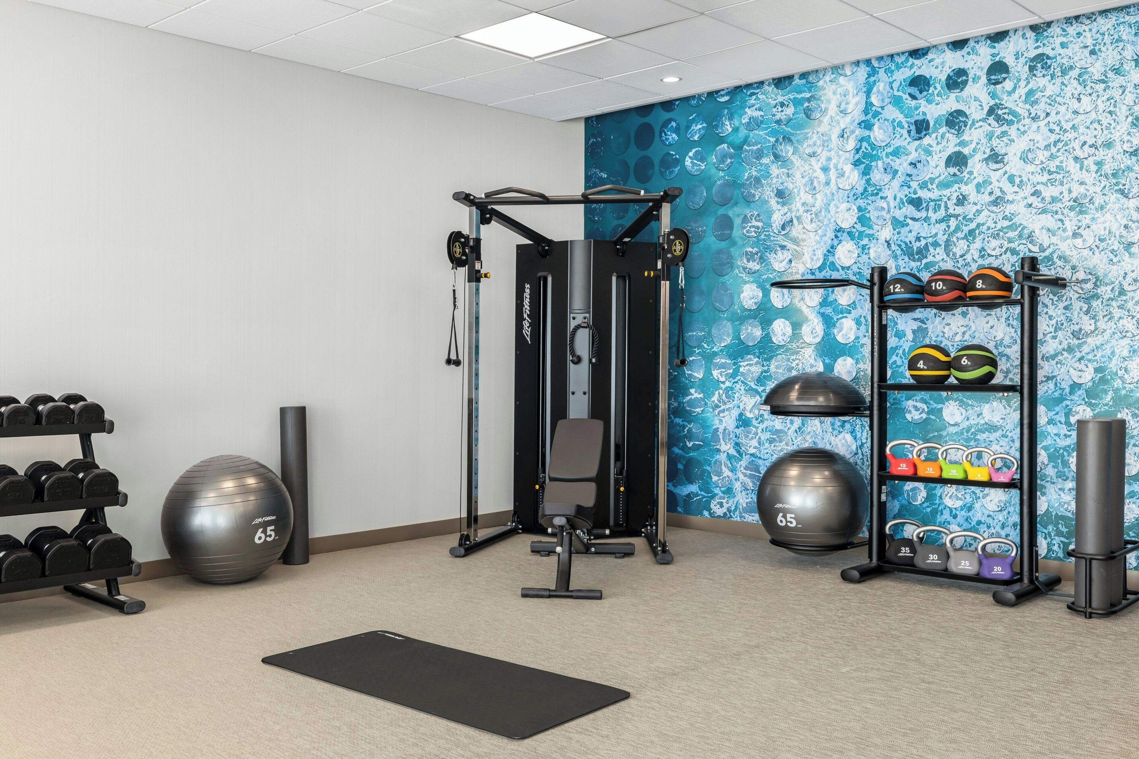 A gym with a squat rack, dumbbells, medicine balls, and weight plates.