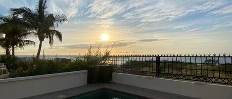 A swimming pool with a sunset view, a palm tree, and a fence.