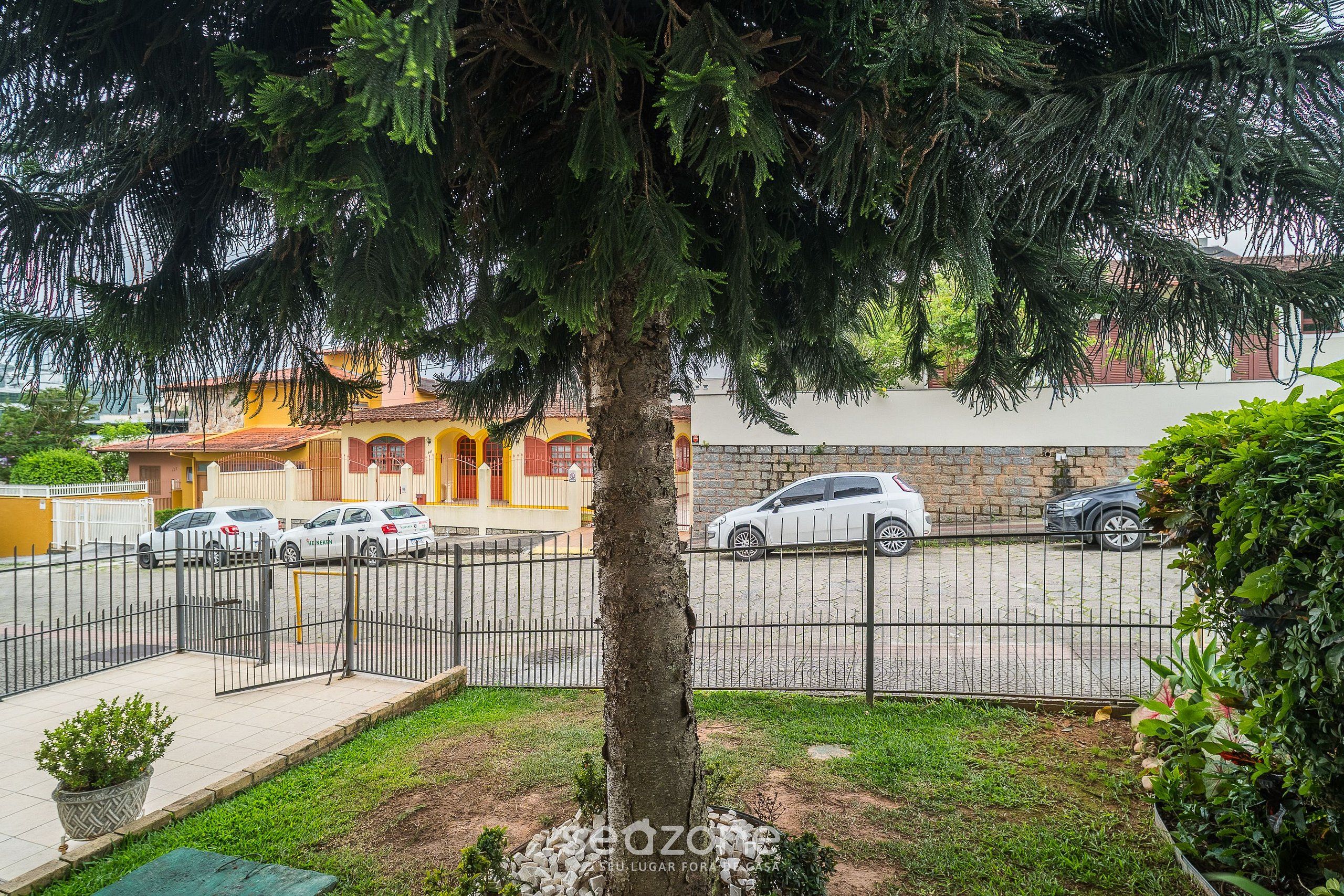 A residential area with a tree, a fence, and parked cars.