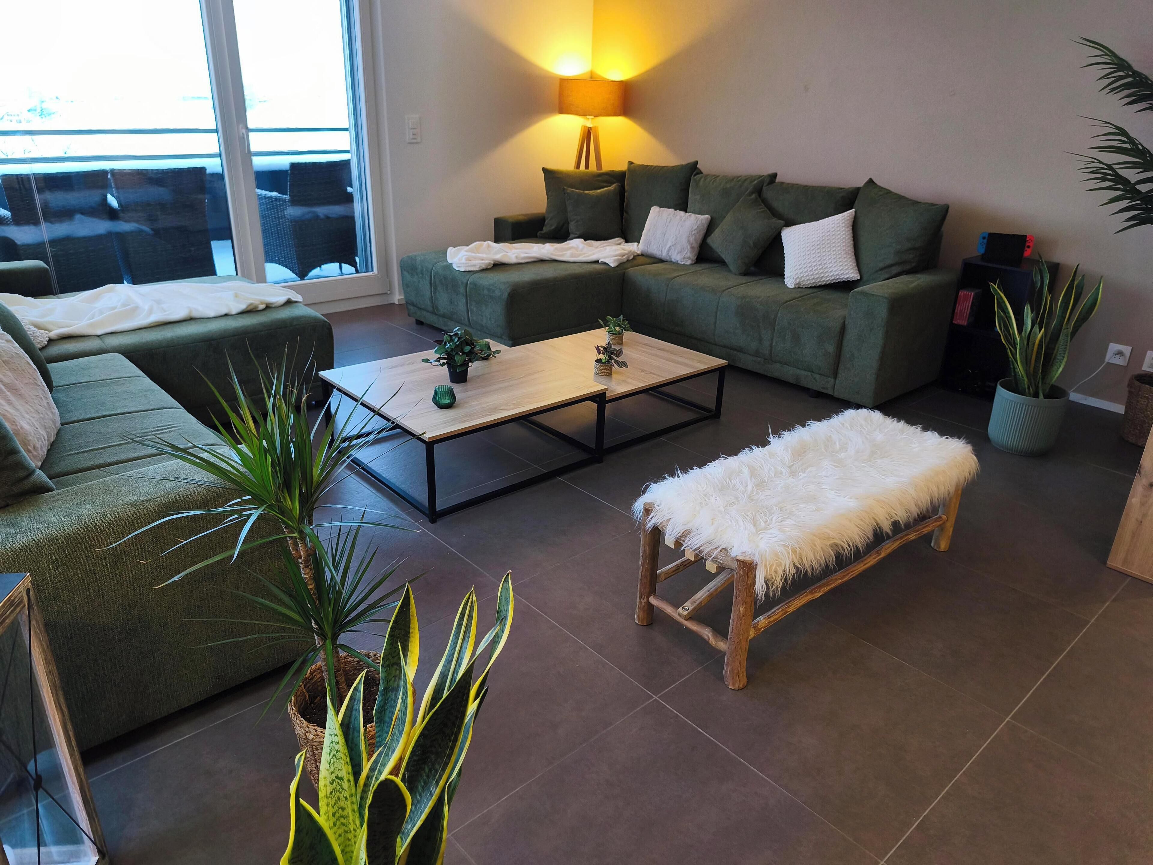 Älytelevisio, videopelejä, DVD-soitin, kirjoja