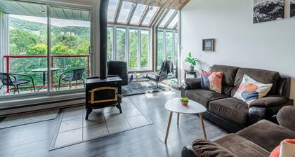 Superbe Condo face aux pentes de Ski Stoneham!