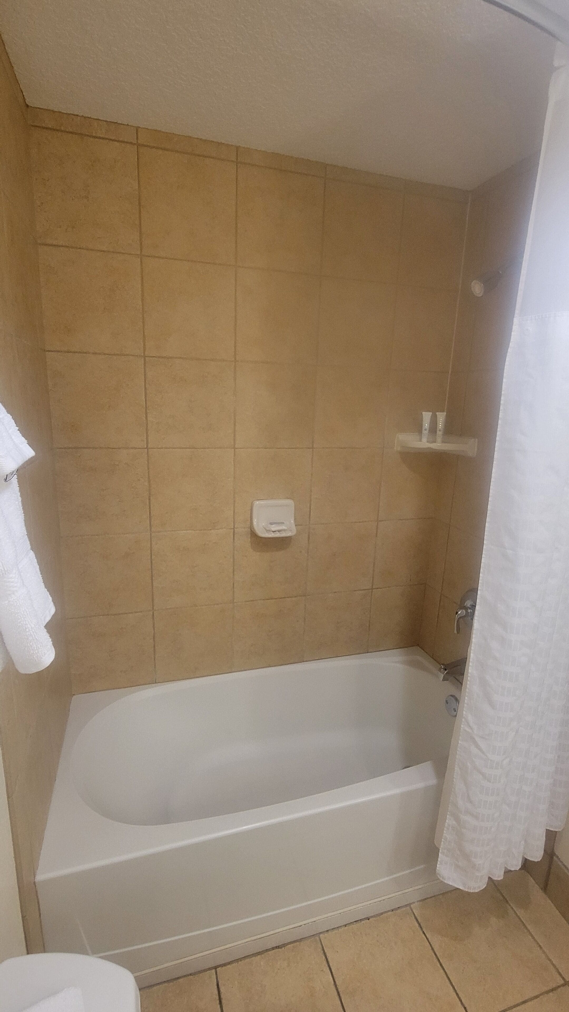 Une salle de bain avec une baignoire, une douche et des toilettes.