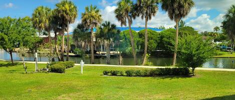 Un parque con palmeras, un lago y un sendero.